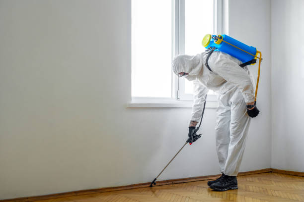 Professional Pest control in Port Carbon, PA